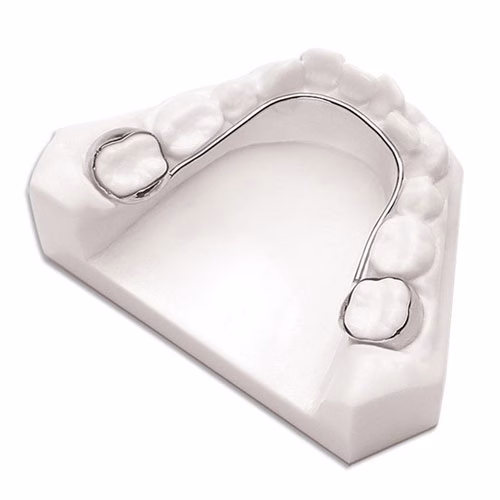 Lower lingual holding arch with molar bands on a model